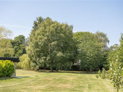 Picture 16